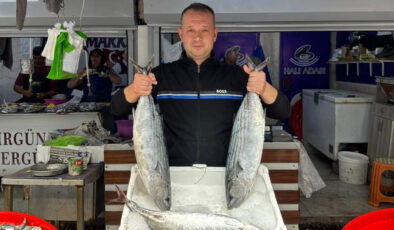 Bandırma Balık Hali’nde sezon hareketli geçiyor