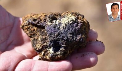 Beylikova’daki nadir elementler için ABD iddiası: ‘Madenlerimiz ABD-Çin kavgasına alet edilmesin’