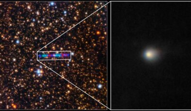 Bilim insanından ‘Siyah Kuğu’ uyarısı: Gizemli misafir bugün Dünya’ya ulaşabilir