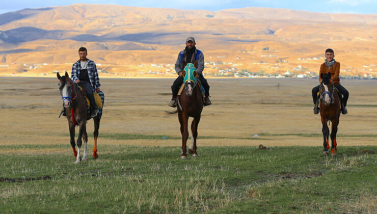 Bingöl’de at yetiştiriciliği kültürel miras olarak yaşatılıyor