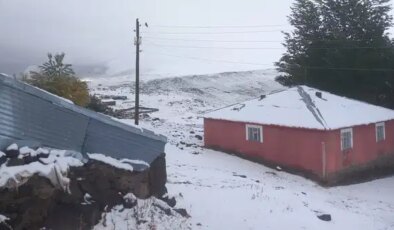 Bingöl’ün ilçelerinde kar yağışı etkili oldu