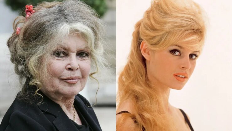 Brigitte Bardot ameliyat sonrası taburcu edildi