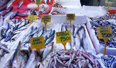 Bu sene palamuda ‘elveda’: Fiyatı yarıya düştü, tezgahın şampiyonu oldu!