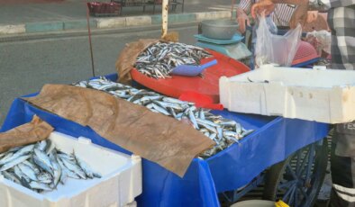 Bu senenin balığı belli oldu: Kilosu 150 TL