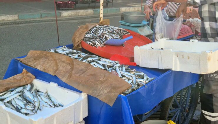 Bu senenin balığı belli oldu: Kilosu 150 TL