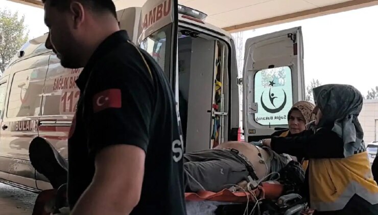 Bursa’da acı ölüm… Ağaçtan ceviz toplarken canından oldu!