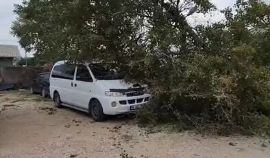 Bursa’da lodos hayatı olumsuz etkiledi: Ağaçlar devrildi, çatılar uçtu!