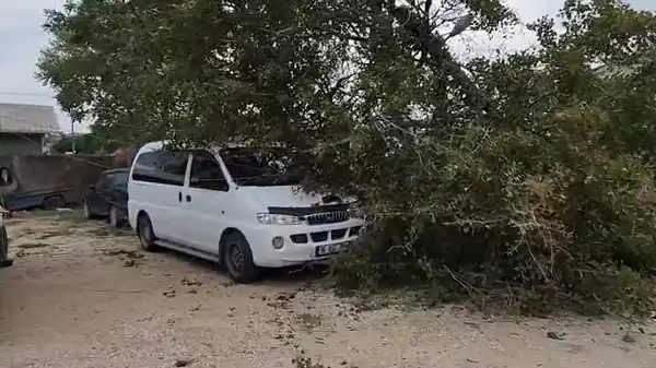 Bursa’da lodos hayatı olumsuz etkiledi: Ağaçlar devrildi, çatılar uçtu!