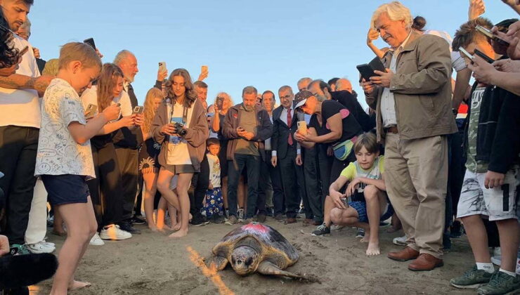 Caretta caretta ‘Cumhuriyet’i 5 bin kişi izledi