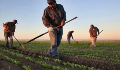 CHP’li Durmaz’dan iktidarın tarım politikalarına eleştiri: Üretici artık krediyi takla bile attıramıyor