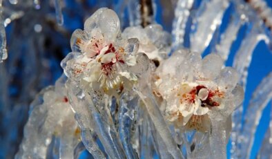 CHP’li Durmaz’dan zirai don için ‘Bağ-Kur’ teklifi