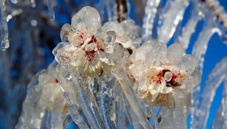 CHP’li Durmaz’dan zirai don için ‘Bağ-Kur’ teklifi