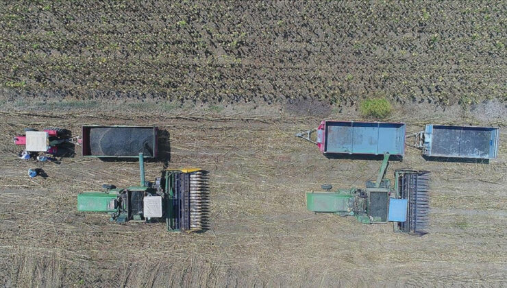 Çiftçilere yaklaşık 2,8 milyar lira destekleme ödemesi yapıldı