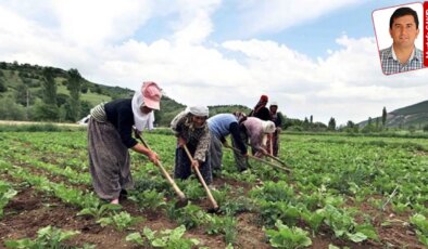 Çiftçinin faiz yükü geri çekildi, kredi limiti yerinde saydı: ‘Ölümü gösterip sıtmaya razı ediyorlar’