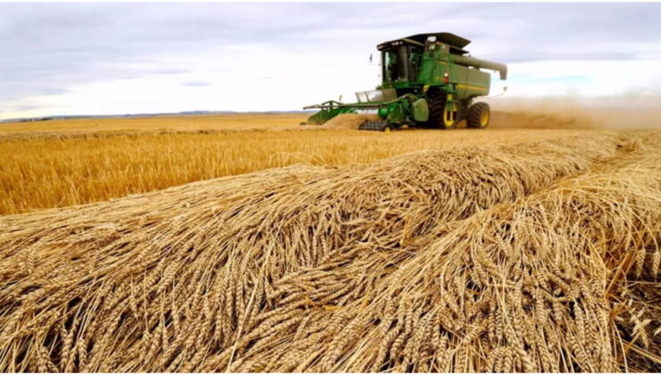Dünya tahıl arzında rekor beklenti: 3 milyar ton…