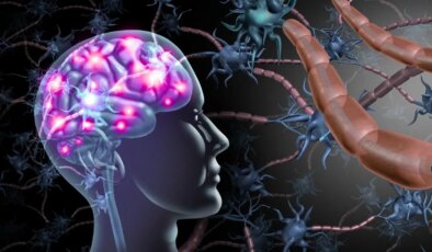 Duygusal anılar beyne nasıl kazınıyor?