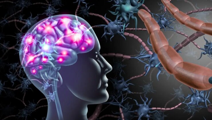 Duygusal anılar beyne nasıl kazınıyor?