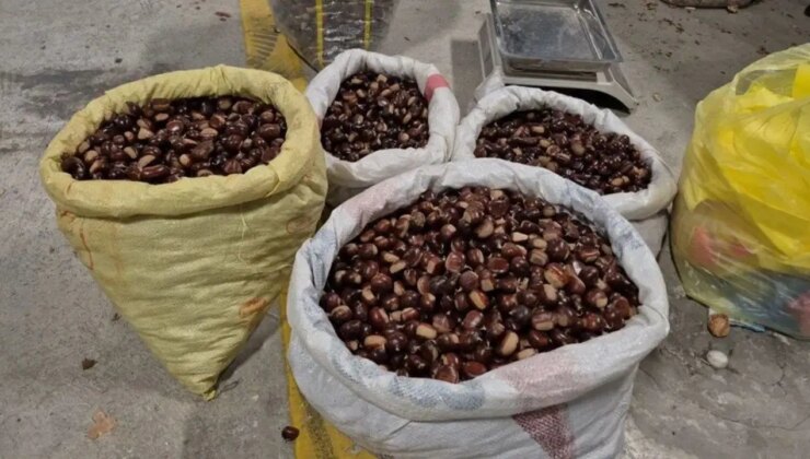 Düzce’nin tescilli lezzeti pazara indi:  Kilosu 400 lira