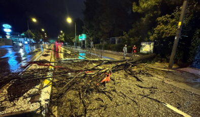 Edirne’yi sağanak vurdu: Ağaç yola devrildi