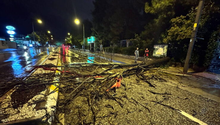 Edirne’yi sağanak vurdu: Ağaç yola devrildi