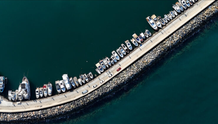 Ege’de balıkçıların ağlarını sardalya doldurdu