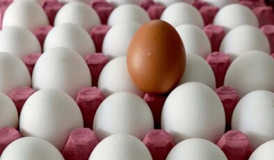 Eylülde gıda fiyatları zamlandı: Zirvede yumurta var