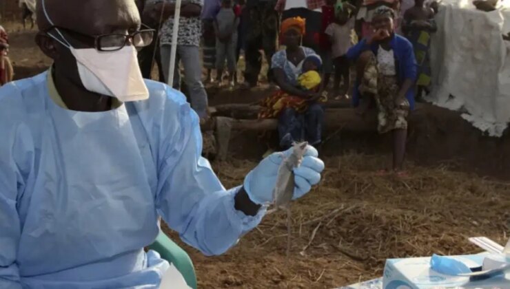 Fare dışkısıyla temas 356 kişinin ölümüne yol açtı!