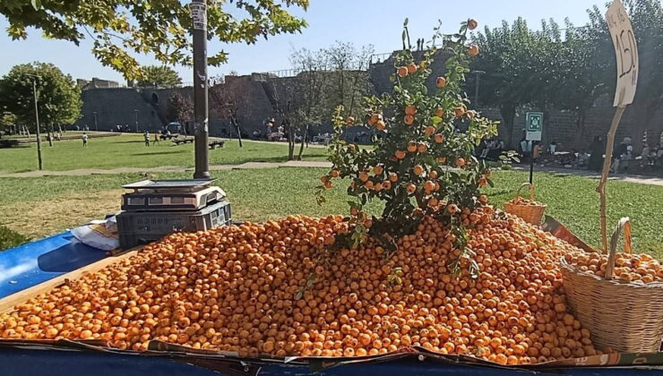 Faydaları saymakla bitmiyor:  Tezgahtaki yerini aldı…
