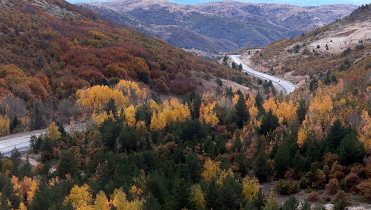 Geminbeli Geçidi sonbaharla renk cümbüşüne büründü