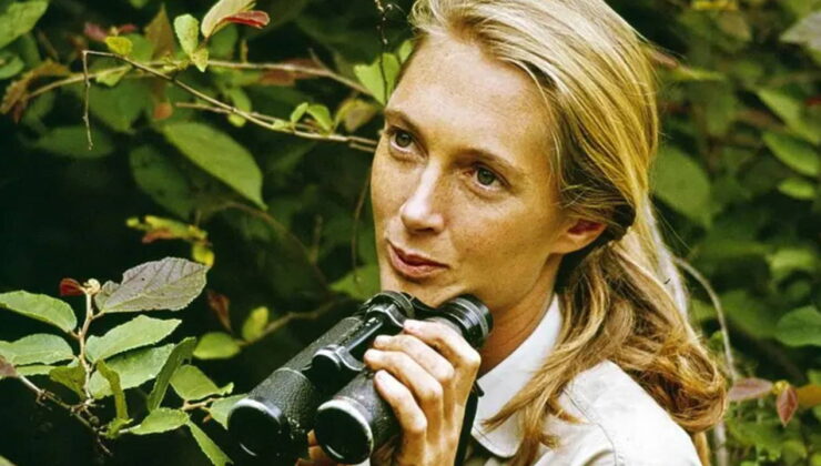 ‘Gezegenimizin kahramanı’: Jane Goodall 91 yaşında hayatını kaybetti