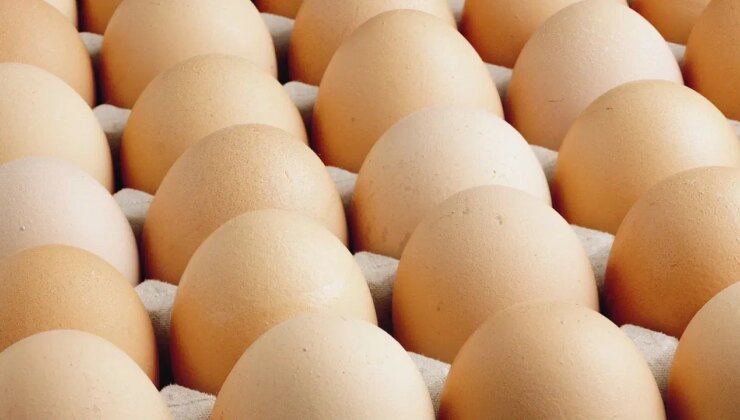 Gıda enflasyonunda zirve: Yumurtanın fiyatı 240 TL!