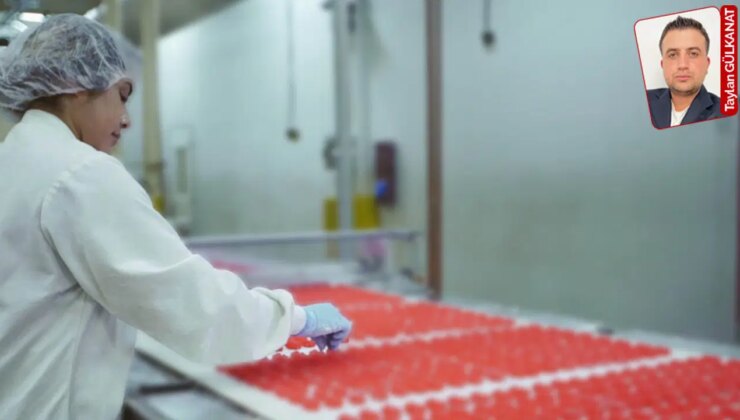 Gıda sektöründe kayıt dışı üretim ve istihdam sorunu: Halk sağlığını tehdit ediyor