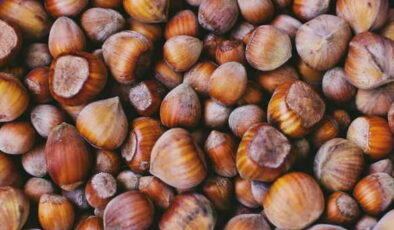 Giresun fındığı zirveye çıktı: Kilosu 350 TL’yi aştı