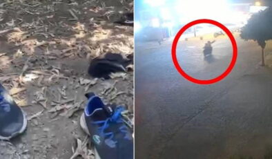 Görüntüleri ortaya çıktı: 5 yıldızlı otele silahla saldırıp bahçede kıyafet değiştirmişler!