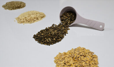 Güneydoğu’dan Afrika’ya hububat ihracatında artış