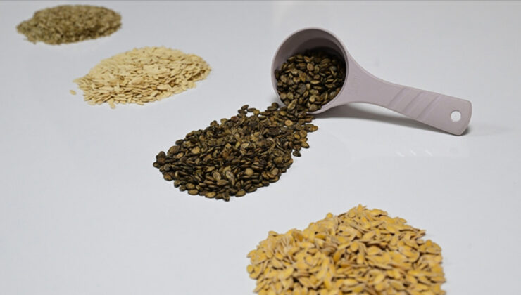 Güneydoğu’dan Afrika’ya hububat ihracatında artış