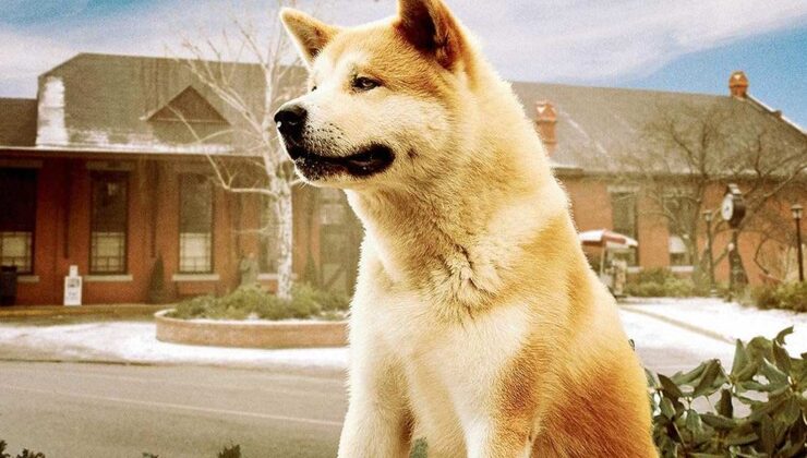 Hachi: A Dog’s Tale filminin konusu ne? Hachi: A Dog’s Tale filminin oyuncuları kim?