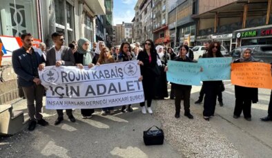 Hakkari’de Rojin Kabaiş için basın açıklaması