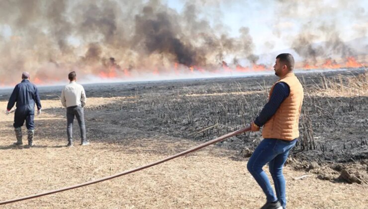 Hakkari’de sazlık yangını: Ekipler müdahale ediyor