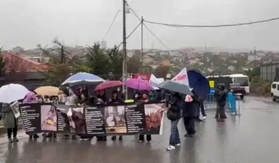 Hayvan hakları savunucuları Hekimbaşı’nda toplandı: Yurttaş barınağa alınmadı