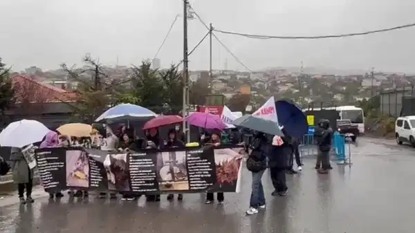 Hayvan hakları savunucuları Hekimbaşı’nda toplandı: Yurttaş barınağa alınmadı