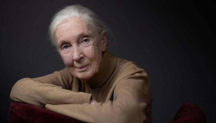 Jane Goodall kimdir? Jane Goodall kaç yaşında, nereli? Jane Goodall neden öldü?