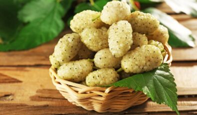 Kan şekeri, cilt hastalıkları ve daha fazlasına şifa oluyor: Mucizevi meyve beyaz dut ve faydaları