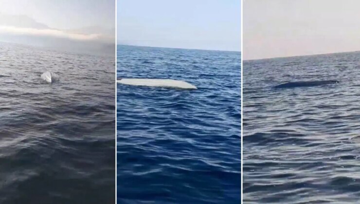 Karadeniz kıyılarında ‘insansız deniz aracı’ alarmı… Artvin açıklarında da görüldü!