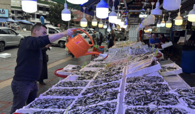 Karadeniz’de hamsi bolluğu: Rize’de 100 Sinop’ta 50 lira