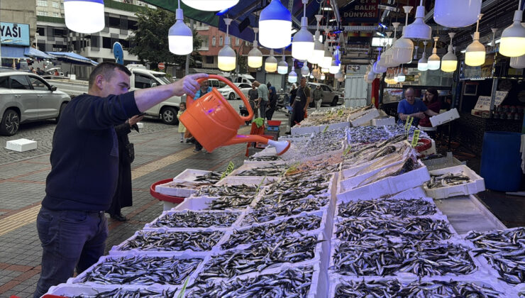 Karadeniz’de hamsi bolluğu: Rize’de 100 Sinop’ta 50 lira