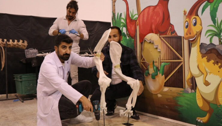 Kayseri’de 7,7 milyon yıllık fosiller 3D yazıcılarla tamamlanıyor