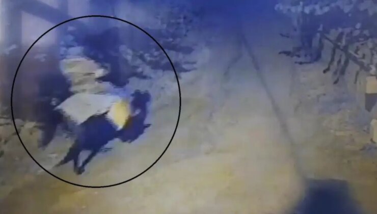 Kayseri’de bir şahıs atla gelerek yaşlı çifti öldürüp kaçtı