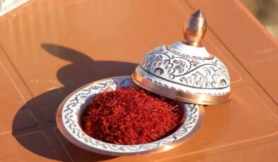 ‘Kırmızı altın’ hasadı başladı: Saksıda bile yetişiyor: 1 gramı 500 TL!