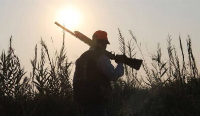 ‘Kızıl geyik’ ve ‘yaban koyununun’ avlanmasına ilişkin suç duyurusu